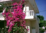 334396_1 | Spitogatos.gr